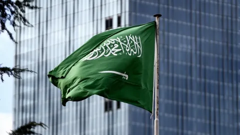 معقب تجنيس